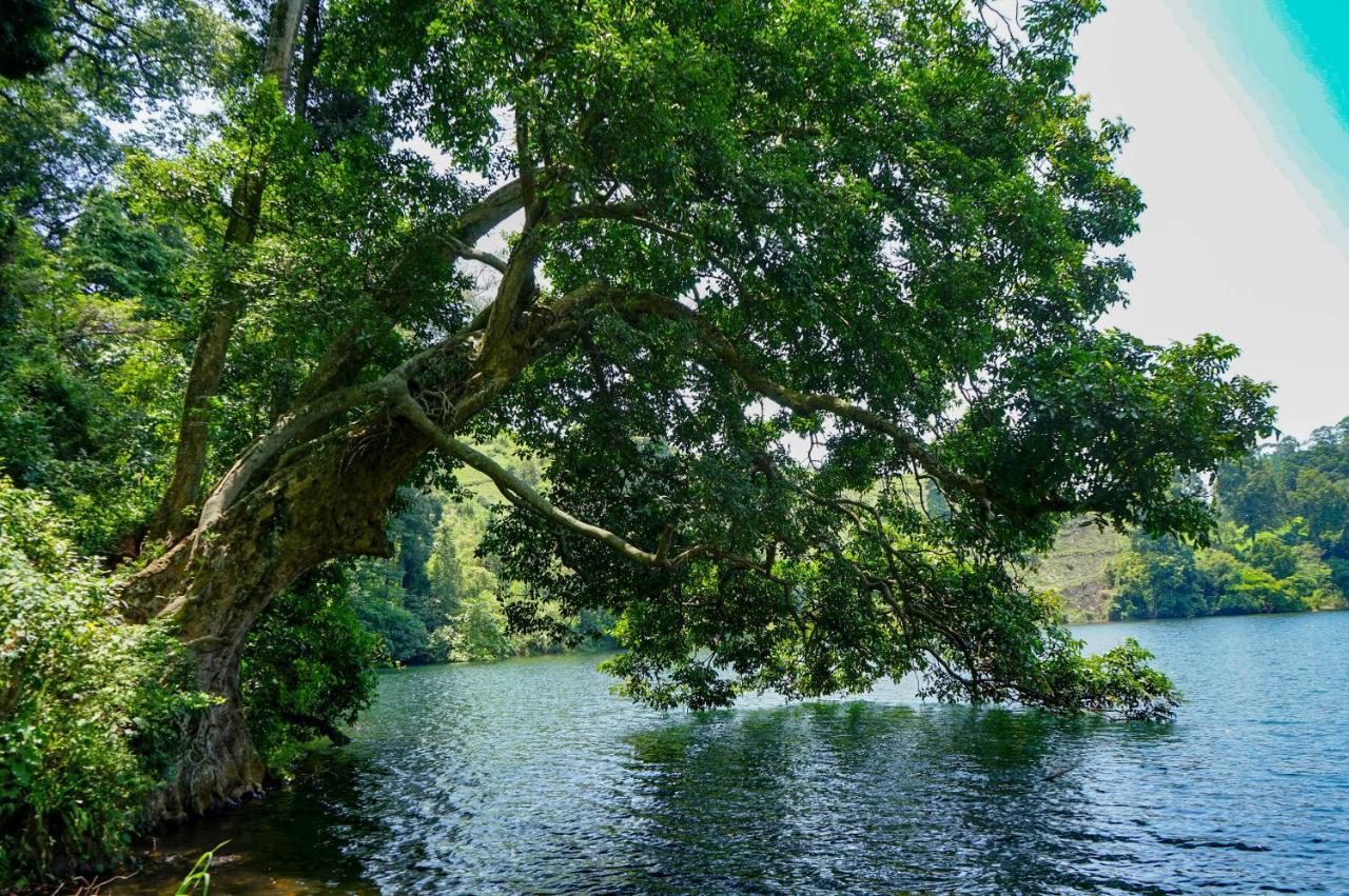 Lake Nyamirima Cottages Fort Portal Εξωτερικό φωτογραφία